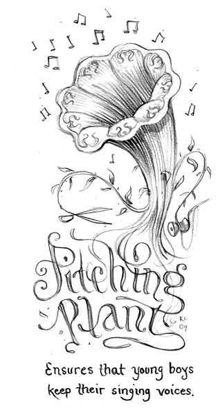 Ensures that young boys keep their singing voices. Pitching Plant